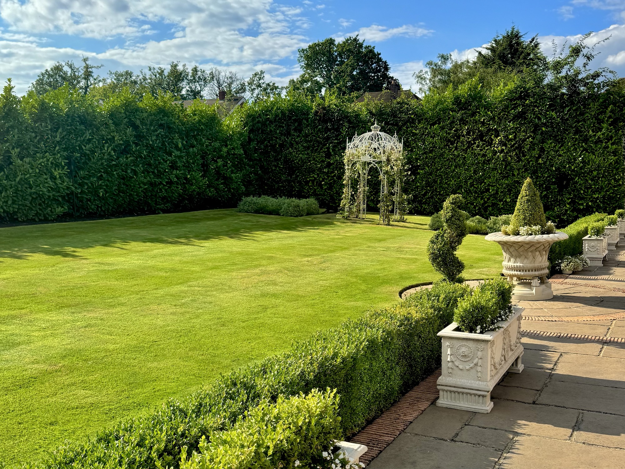 Manicured lawn with Bedmal lawn treatments. Shows spiral topiary from Buxus in Hertfordshire