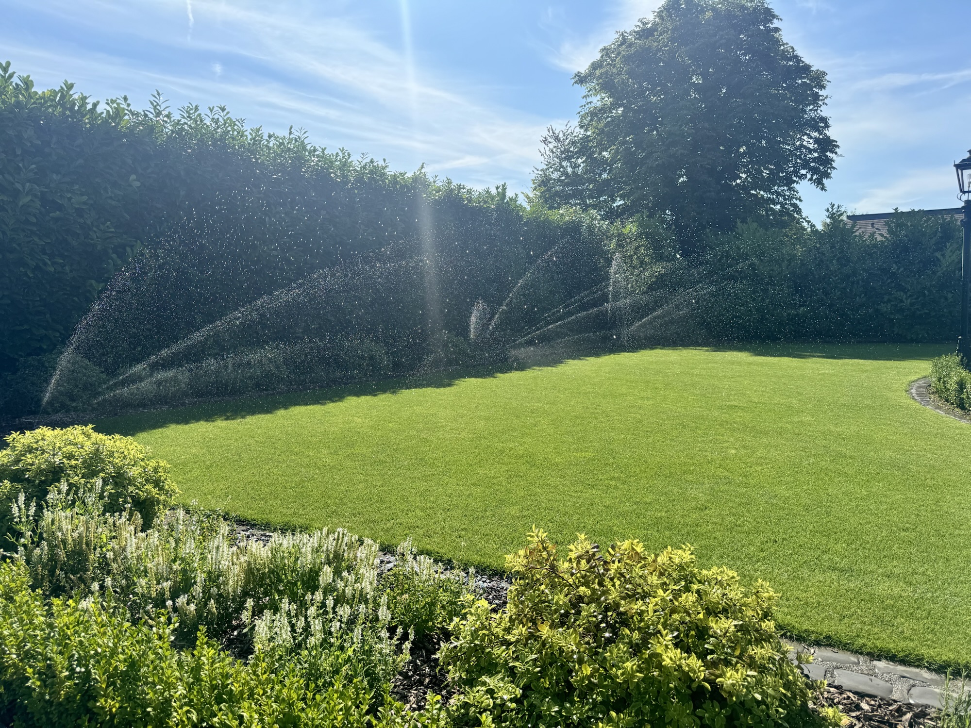 Automatic Lawn Pop-Up irrigation system showing perfect lush lawn